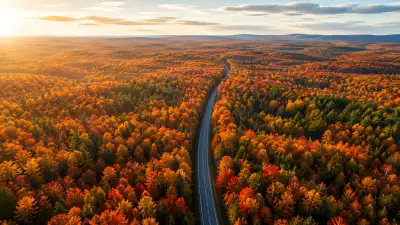 Endless Fall Forest Road 4K Wallpaper iPhone