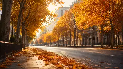 Golden Autumn Boulevard 4K Wallpaper Android