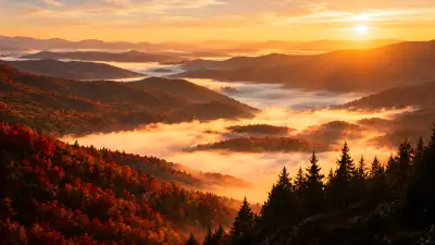 Golden Sunrise Over Misty Autumn Valley 4K Wallpaper