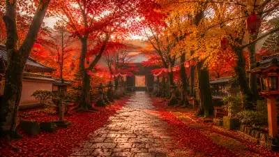 Japanese Temple Autumn Lanterns 4K Wallpaper